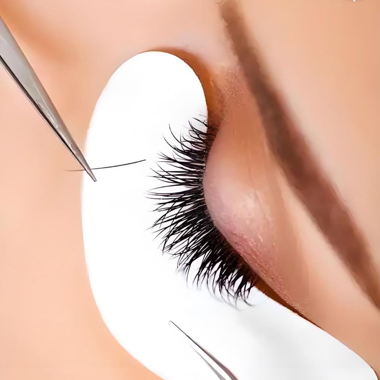 Eyelash 2
